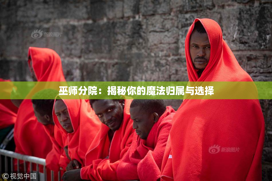 巫师分院：揭秘你的魔法归属与选择