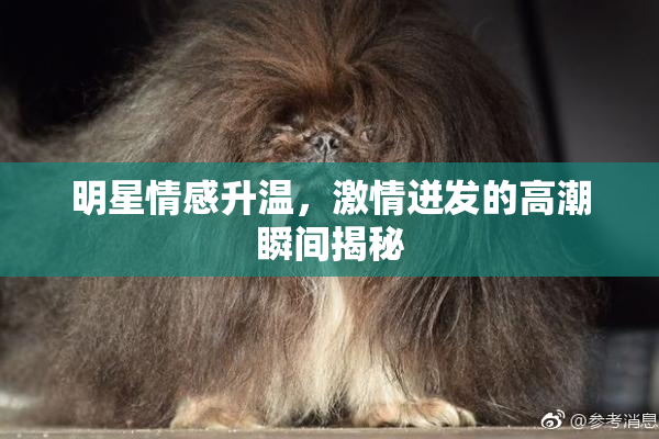 明星情感升温，激情迸发的高潮瞬间揭秘