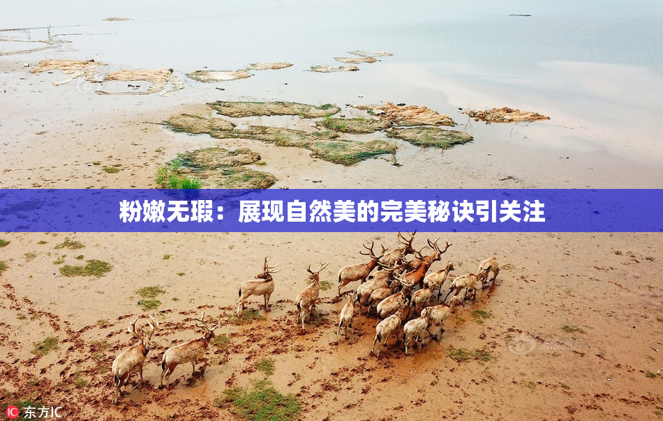 粉嫩无瑕：展现自然美的完美秘诀引关注