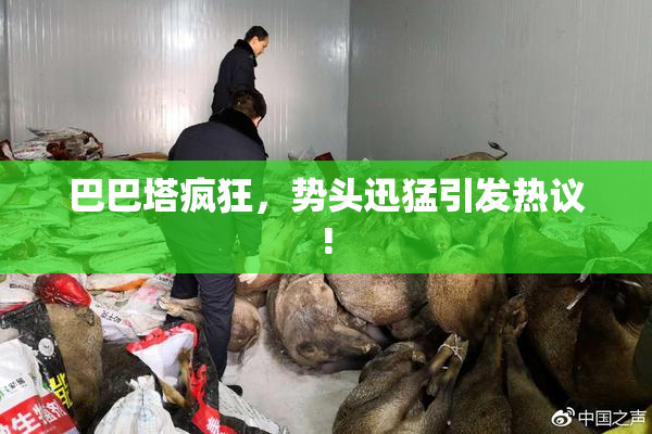 巴巴塔疯狂，势头迅猛引发热议!