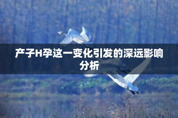 产子H孕这一变化引发的深远影响分析