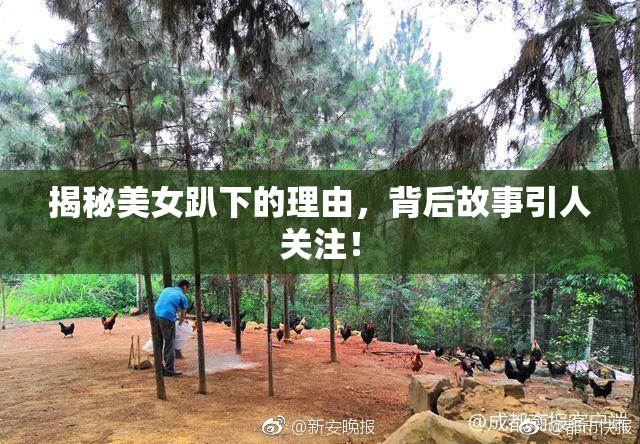 揭秘美女趴下的理由，背后故事引人关注！
