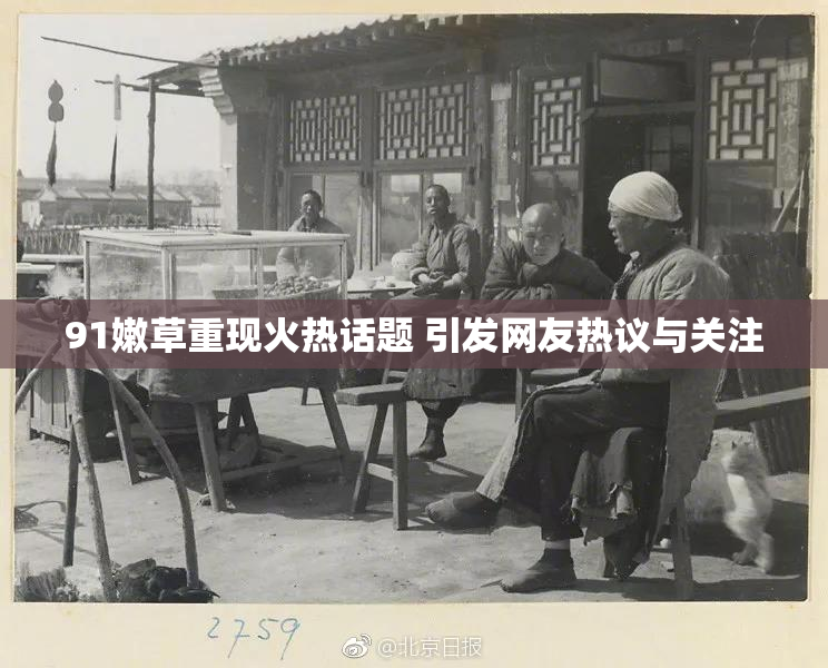 91嫩草重现火热话题 引发网友热议与关注
