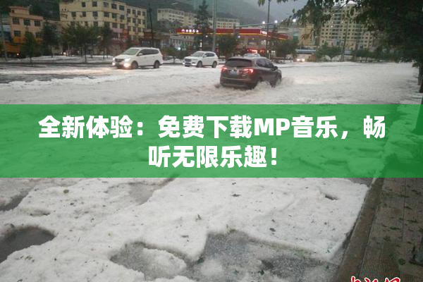 全新体验：免费下载MP音乐，畅听无限乐趣！