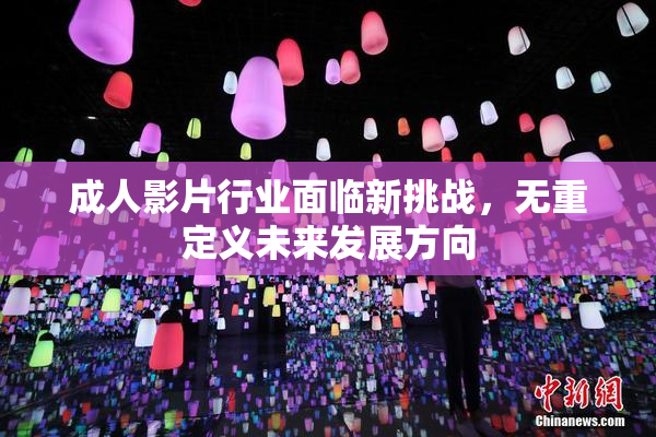 成人影片行业面临新挑战，无重定义未来发展方向