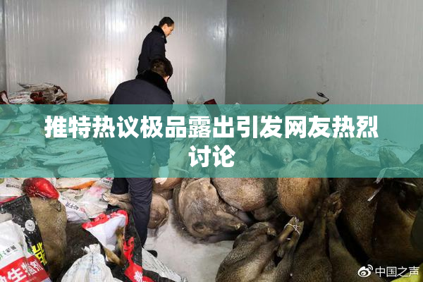 推特热议极品露出引发网友热烈讨论