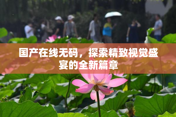 国产在线无码，探索精致视觉盛宴的全新篇章