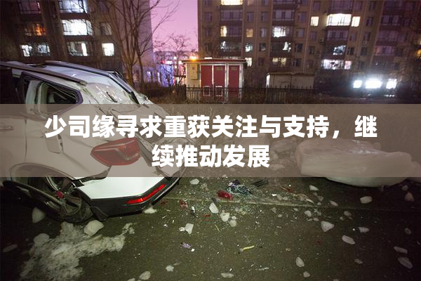 少司缘寻求重获关注与支持，继续推动发展