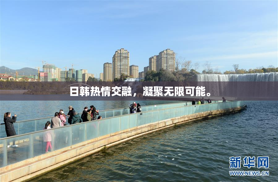 日韩热情交融，凝聚无限可能。