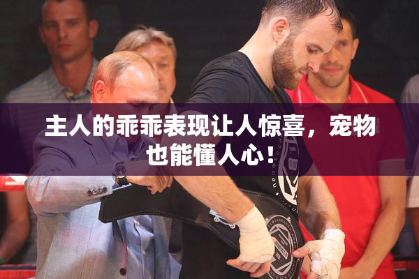 主人的乖乖表现让人惊喜，宠物也能懂人心！