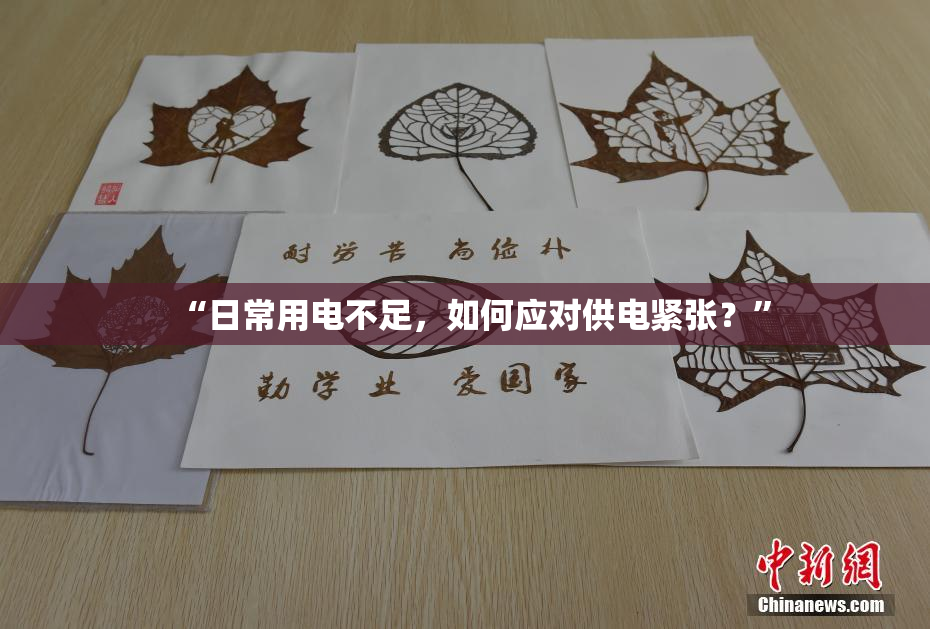 “日常用电不足，如何应对供电紧张？”