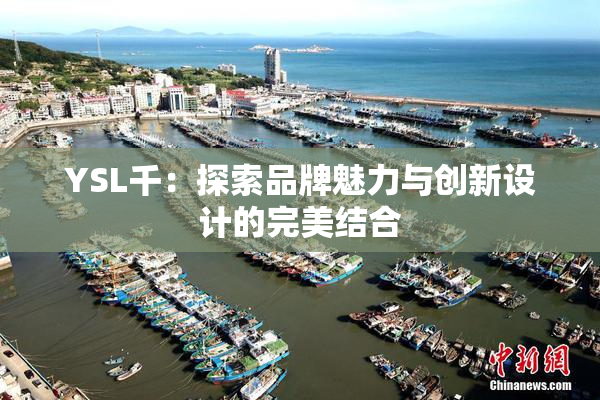YSL千：探索品牌魅力与创新设计的完美结合