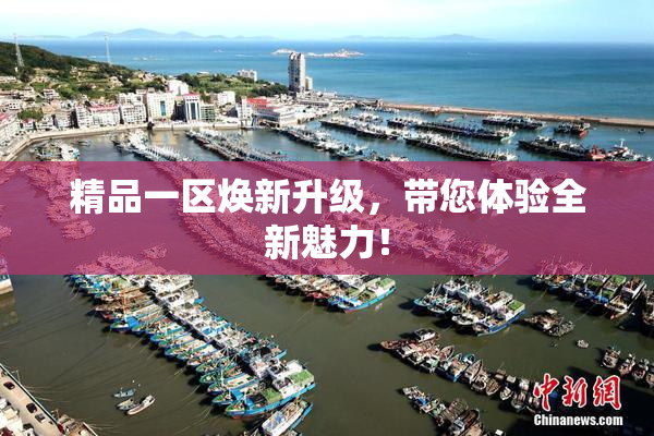 精品一区焕新升级，带您体验全新魅力！