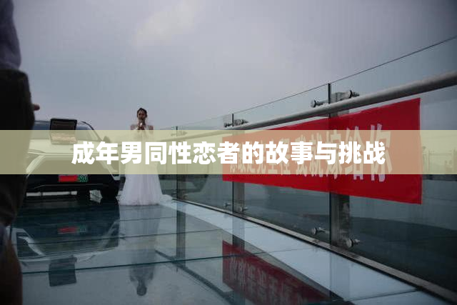 成年男同性恋者的故事与挑战