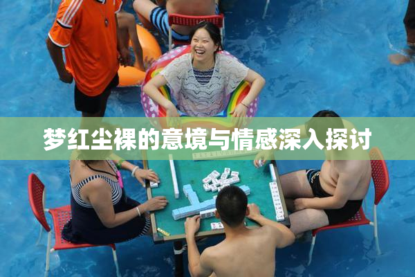 梦红尘裸的意境与情感深入探讨