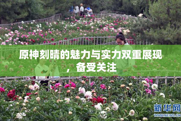 原神刻晴的魅力与实力双重展现，备受关注