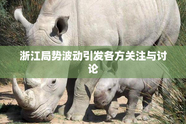 浙江局势波动引发各方关注与讨论
