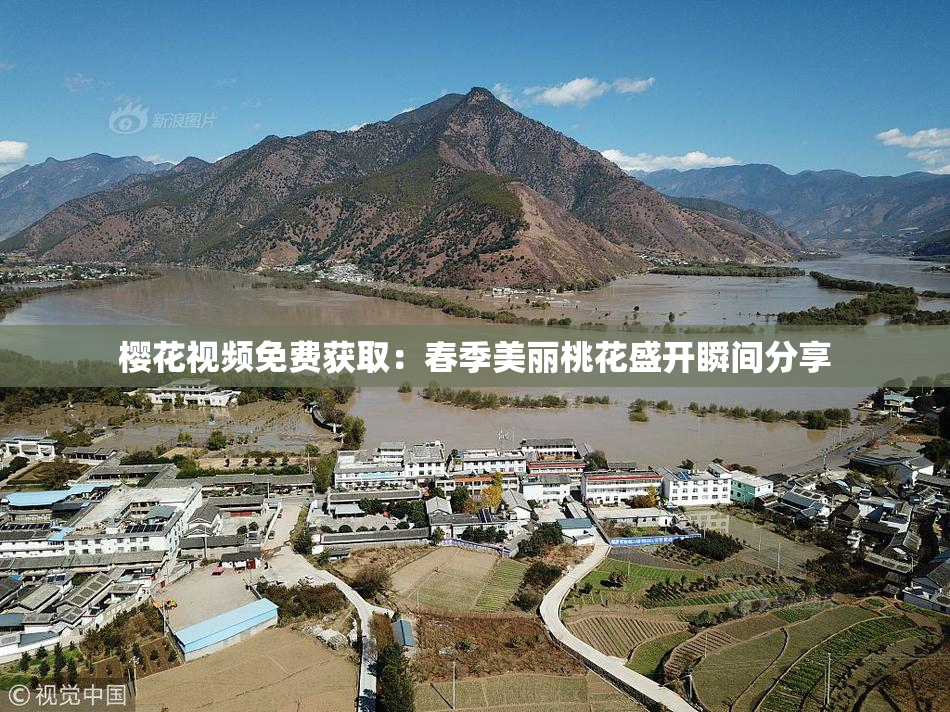 樱花视频免费获取：春季美丽桃花盛开瞬间分享