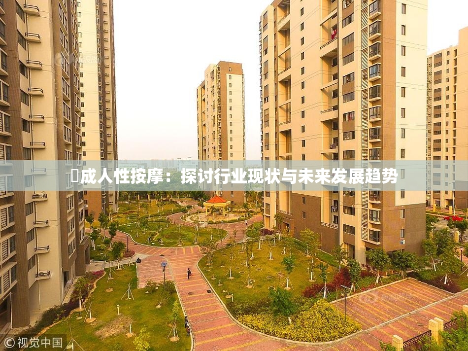 巜成人性按摩：探讨行业现状与未来发展趋势