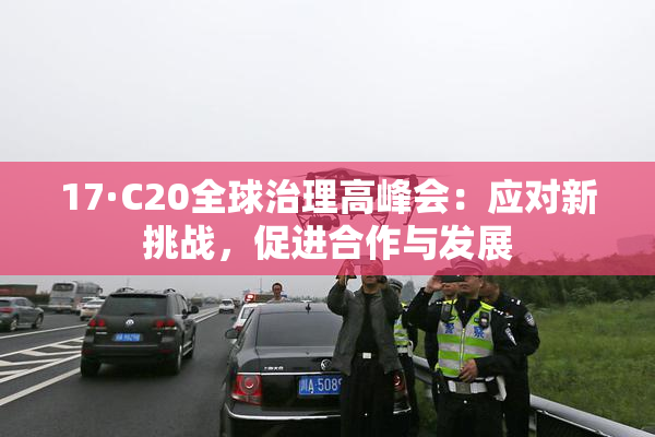 17·C20全球治理高峰会：应对新挑战，促进合作与发展
