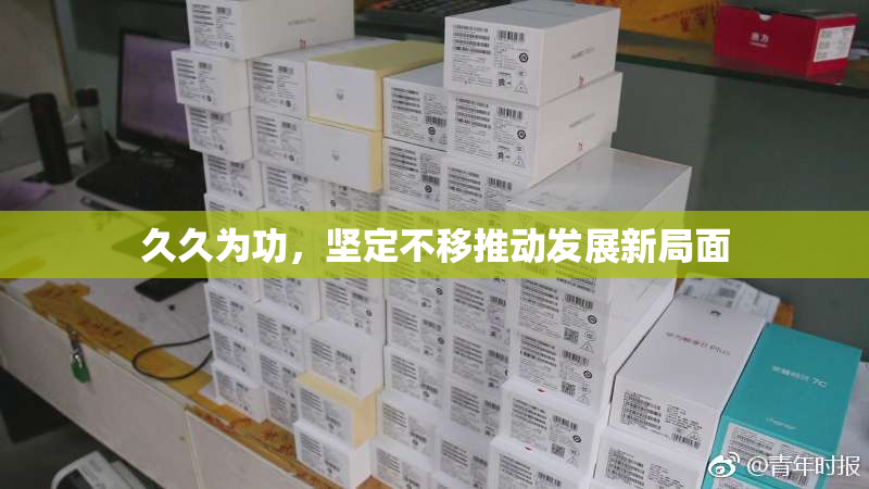久久为功，坚定不移推动发展新局面