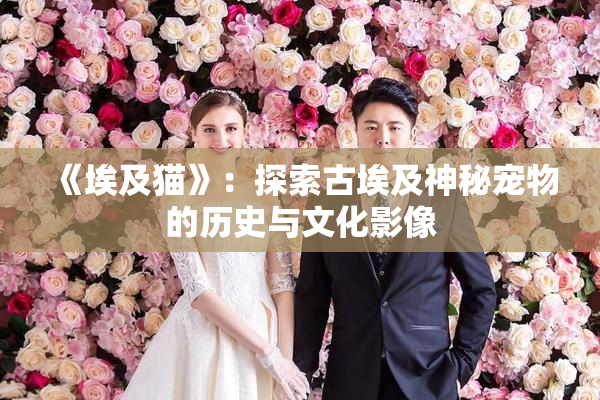 《埃及猫》：探索古埃及神秘宠物的历史与文化影像