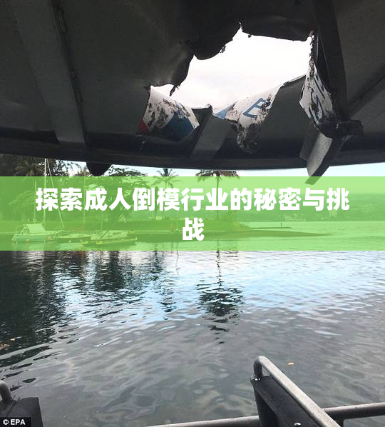 探索成人倒模行业的秘密与挑战