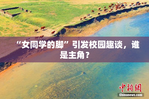 “女同学的脚”引发校园趣谈，谁是主角？