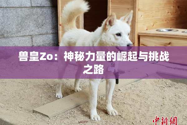 兽皇Zo：神秘力量的崛起与挑战之路