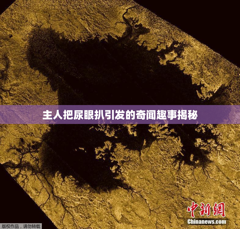 主人把尿眼扒引发的奇闻趣事揭秘