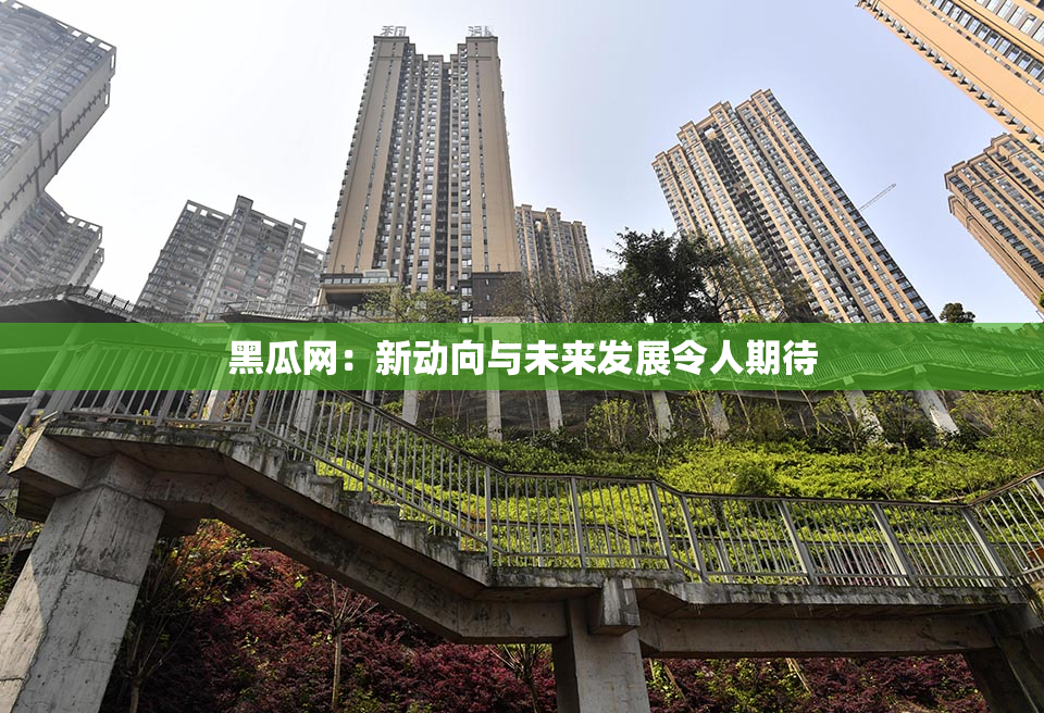 黑瓜网：新动向与未来发展令人期待