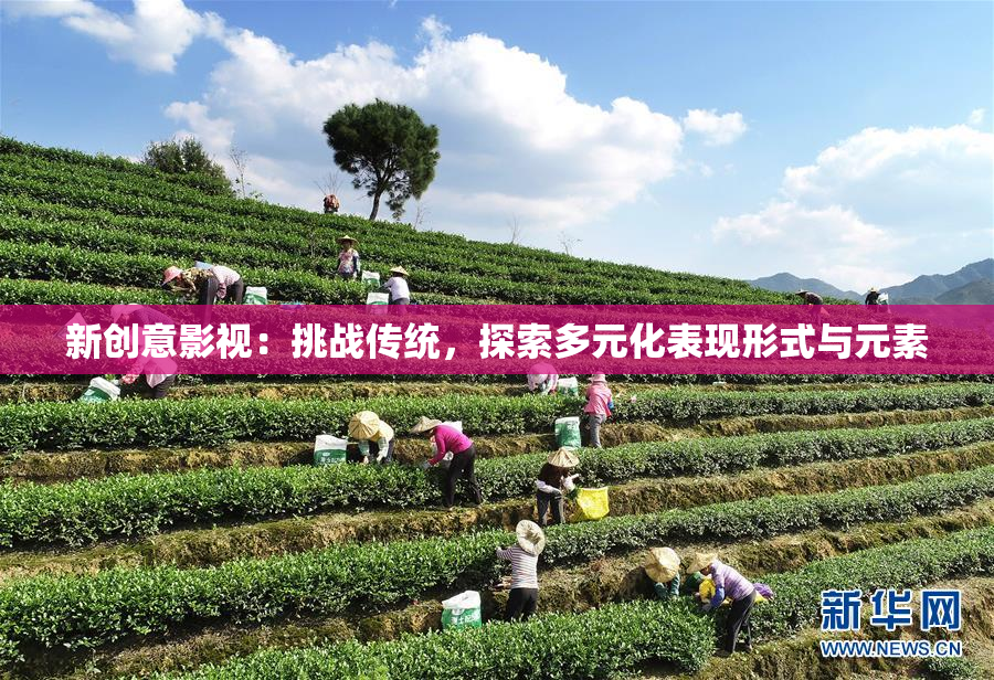 新创意影视：挑战传统，探索多元化表现形式与元素