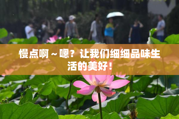 慢点啊～嗯？让我们细细品味生活的美好！