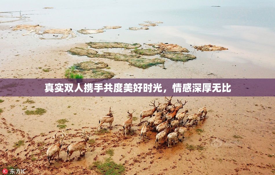 真实双人携手共度美好时光，情感深厚无比