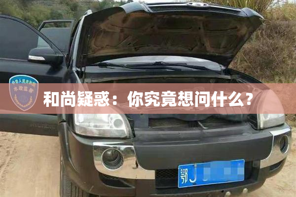 和尚疑惑：你究竟想问什么？