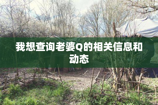 我想查询老婆Q的相关信息和动态