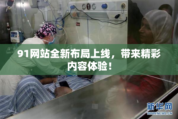 91网站全新布局上线，带来精彩内容体验！