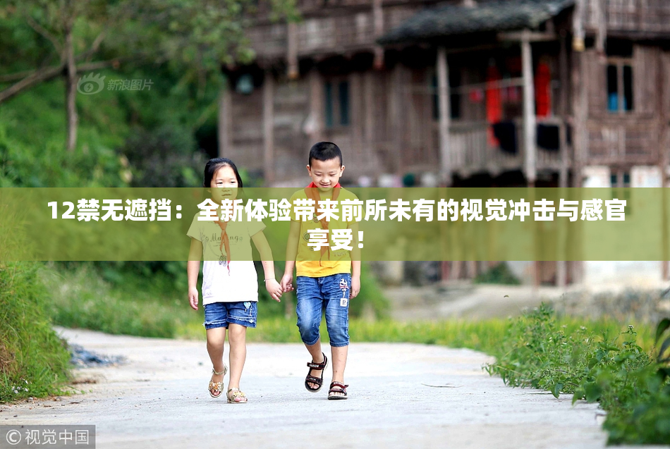 12禁无遮挡：全新体验带来前所未有的视觉冲击与感官享受！