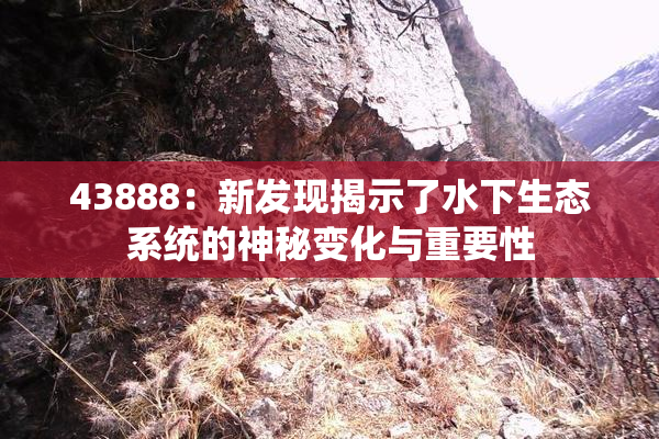 43888：新发现揭示了水下生态系统的神秘变化与重要性