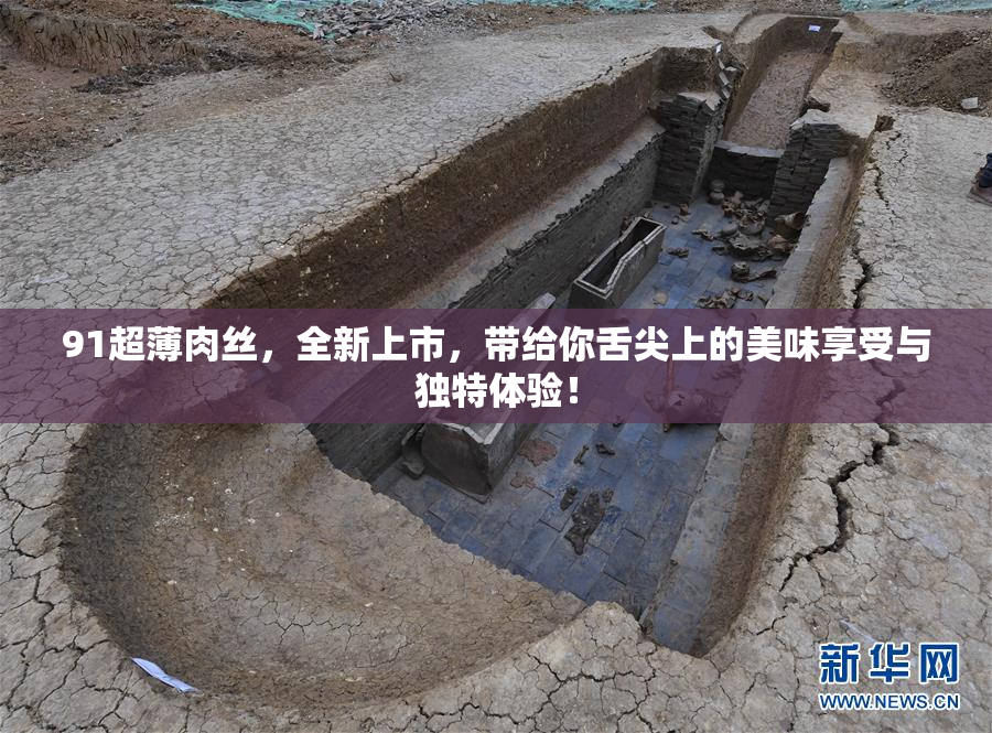 91超薄肉丝，全新上市，带给你舌尖上的美味享受与独特体验！