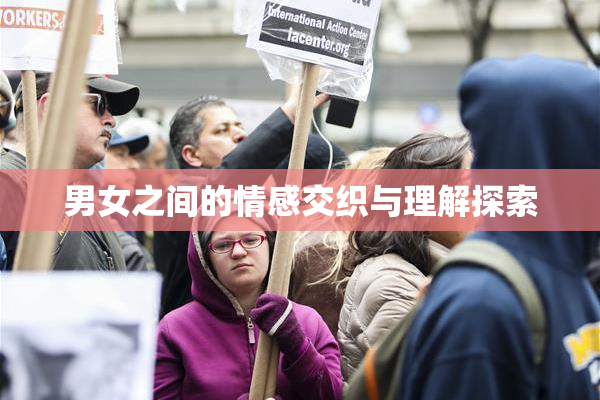 男女之间的情感交织与理解探索