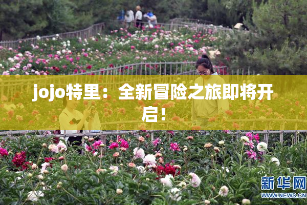 jojo特里：全新冒险之旅即将开启！