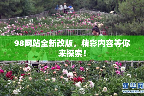 98网站全新改版，精彩内容等你来探索！