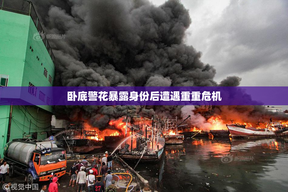卧底警花暴露身份后遭遇重重危机