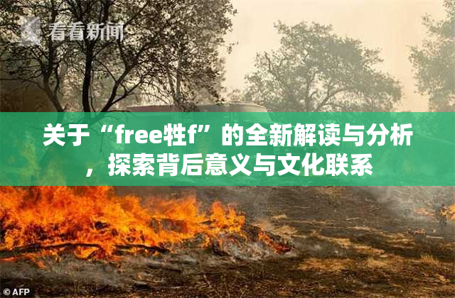 关于“free牲f”的全新解读与分析，探索背后意义与文化联系
