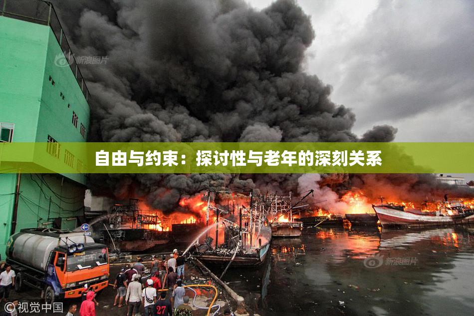 自由与约束：探讨性与老年的深刻关系