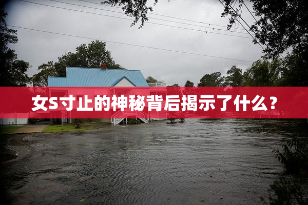 女S寸止的神秘背后揭示了什么？