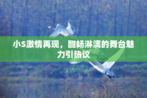 小S激情再现，酣畅淋漓的舞台魅力引热议