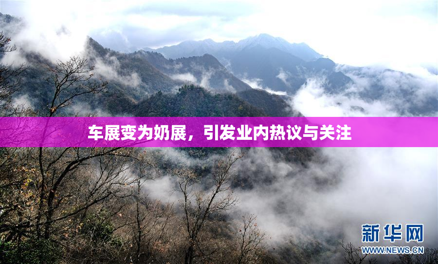 车展变为奶展，引发业内热议与关注