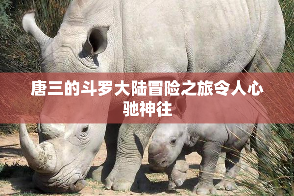 唐三的斗罗大陆冒险之旅令人心驰神往